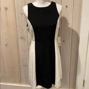 BB Dakota Black and White Dress